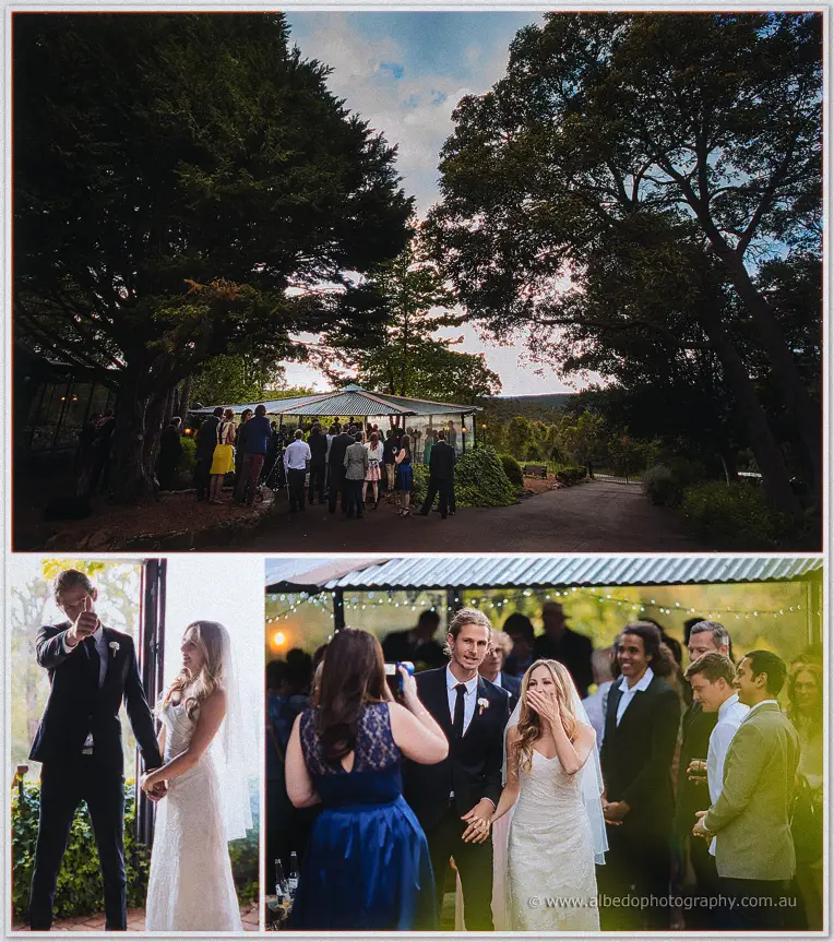 Guests gather beneath towering trees around the gazebo at dusk while the newlyweds celebrate with friends