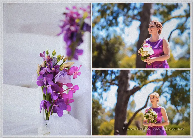 Variety Pavilion Kings Park Wedding