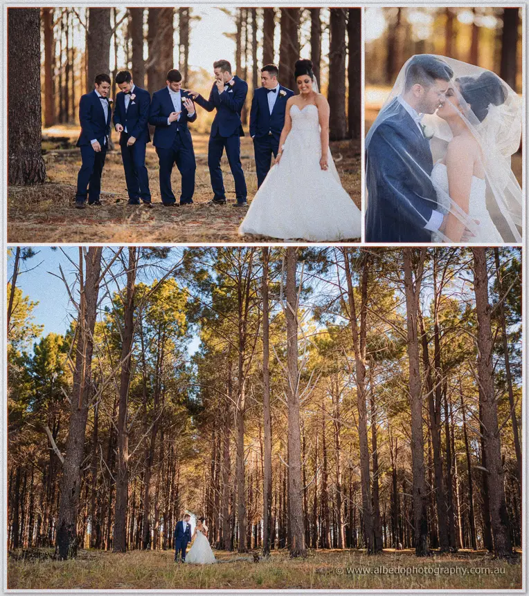 Wedding photography