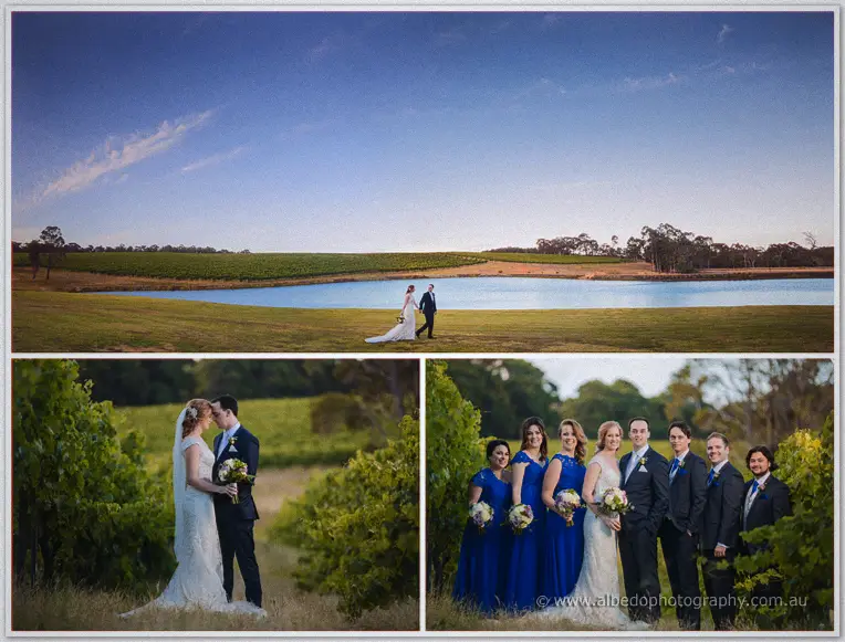 Aravina Estate Wedding