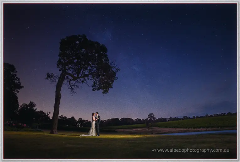 Aravina Estate Wedding