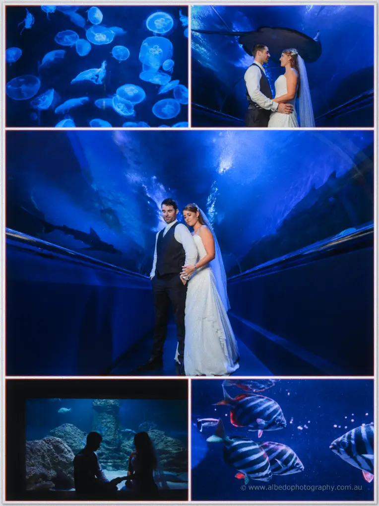 AQWA wedding