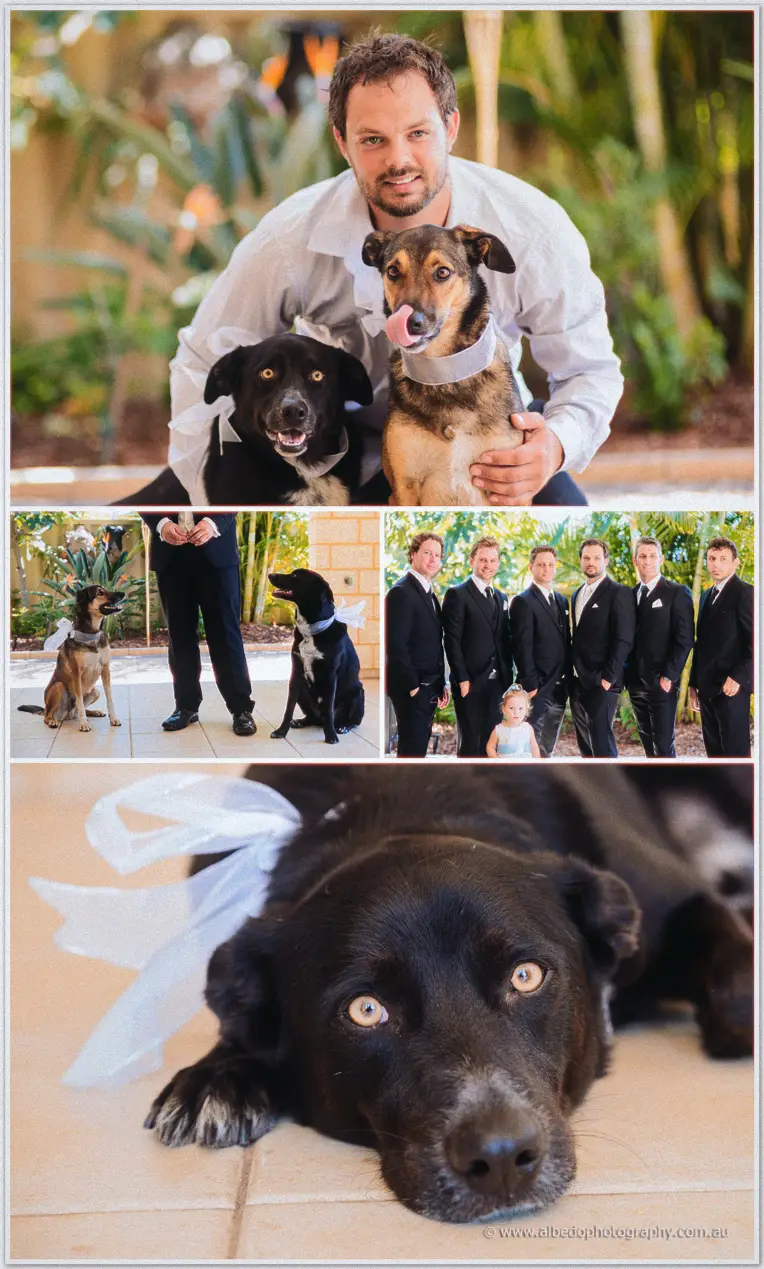 Esplanade Hotel wedding