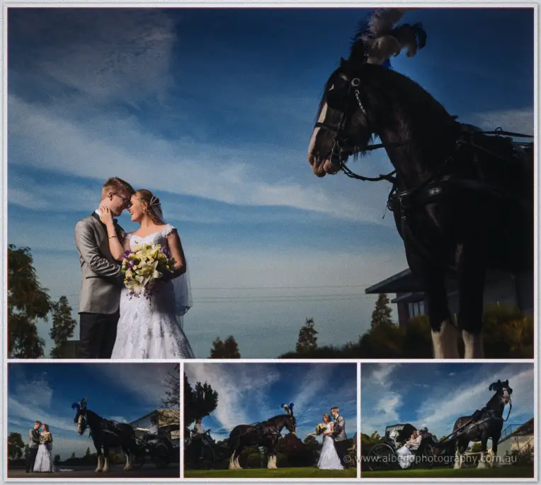Willow Pond Wedding