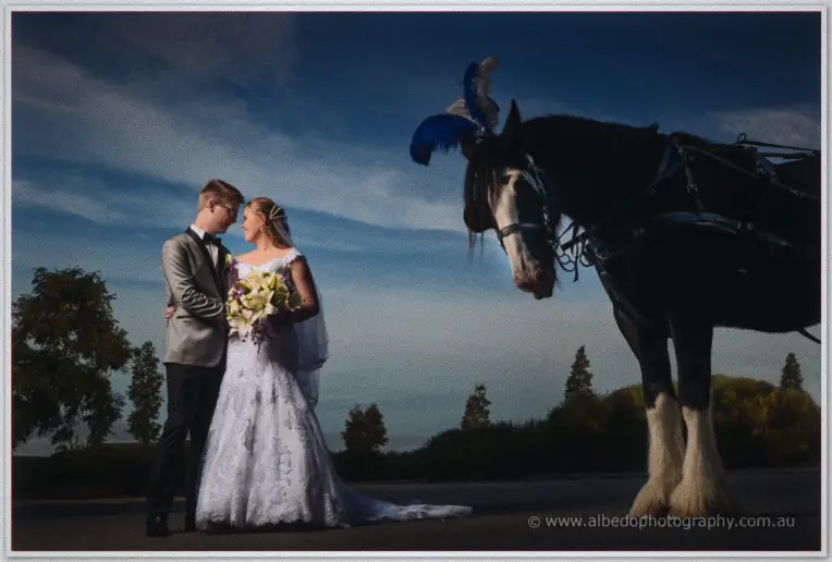 Willow Pond Wedding