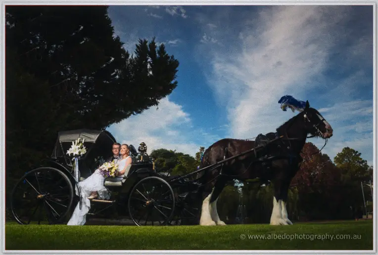 Willow Pond Wedding