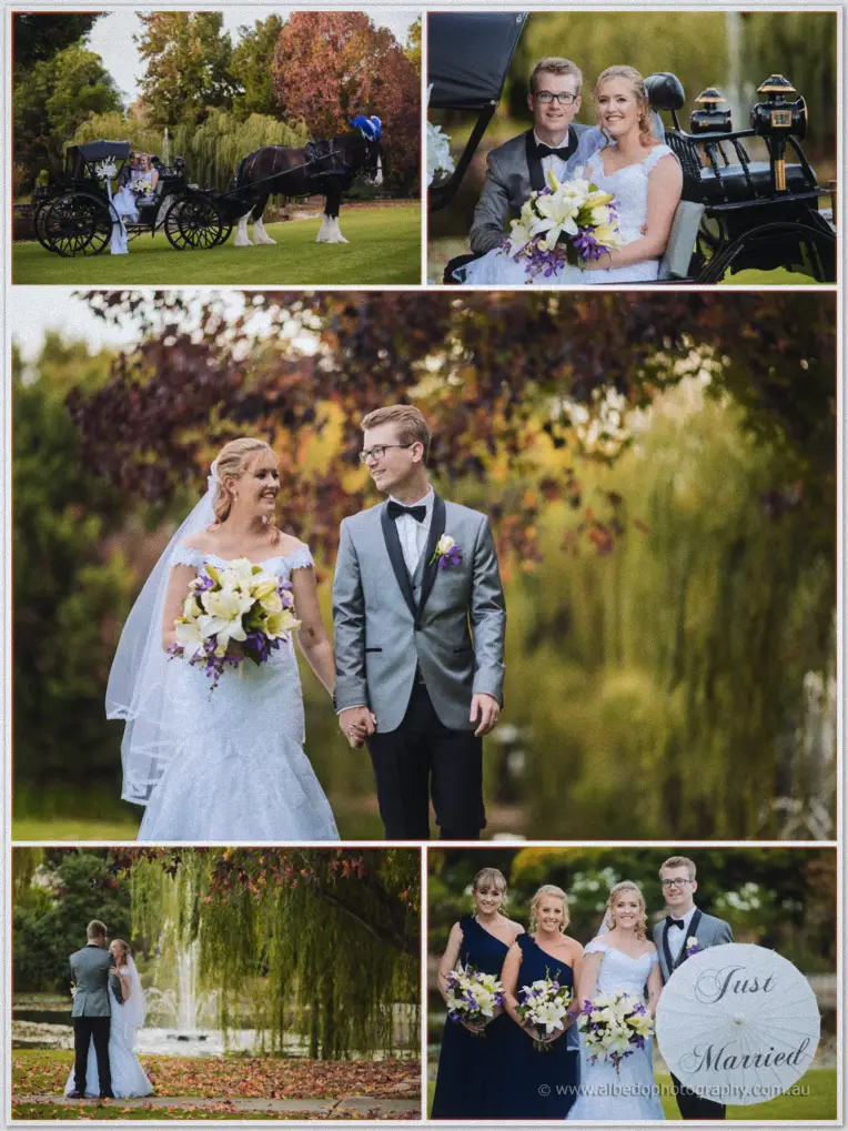 Willow Pond Wedding