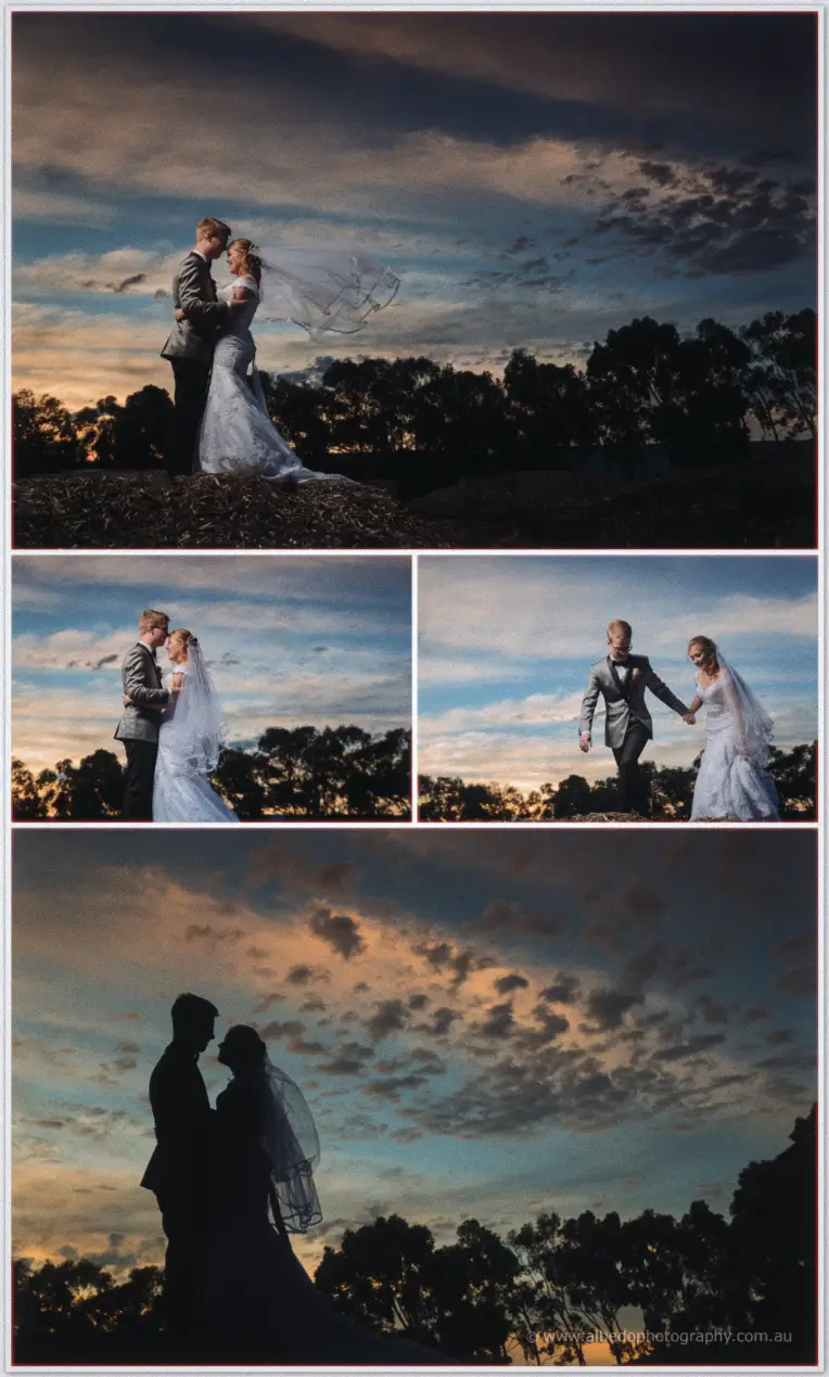 Willow Pond Wedding