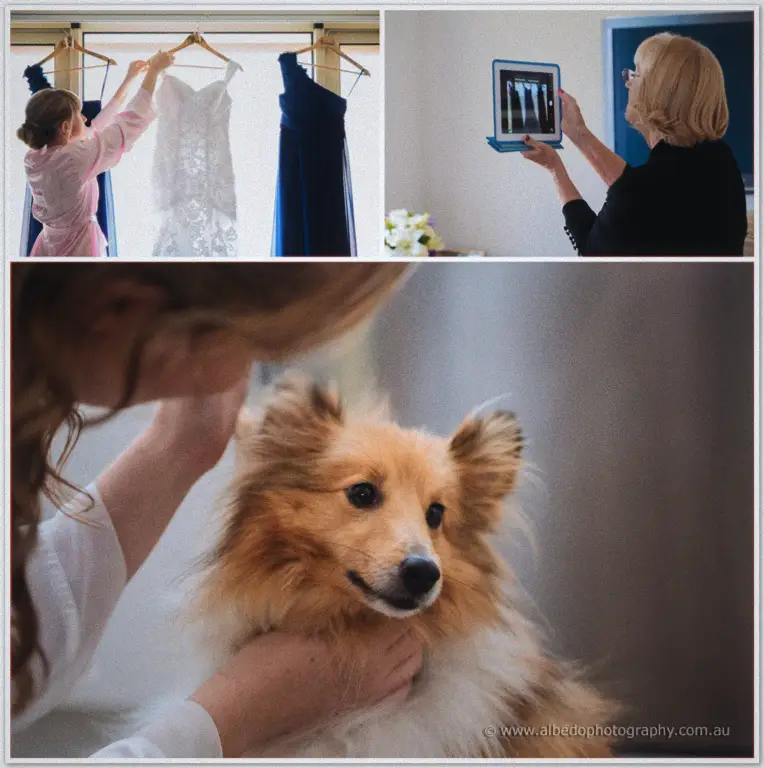 Willow Pond Wedding