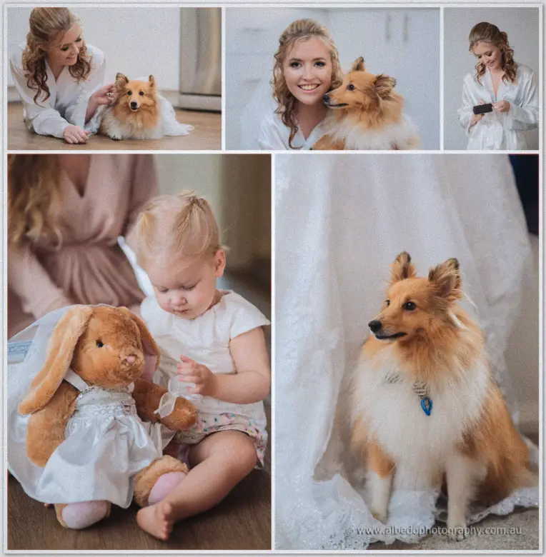 Willow Pond Wedding