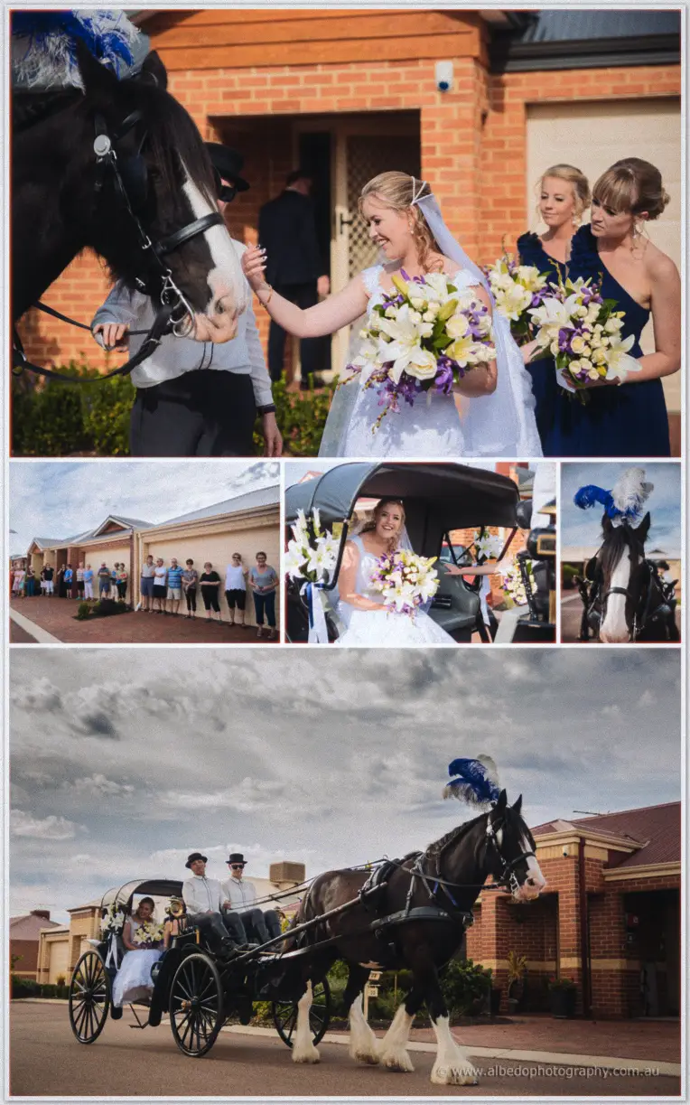 Willow Pond Wedding