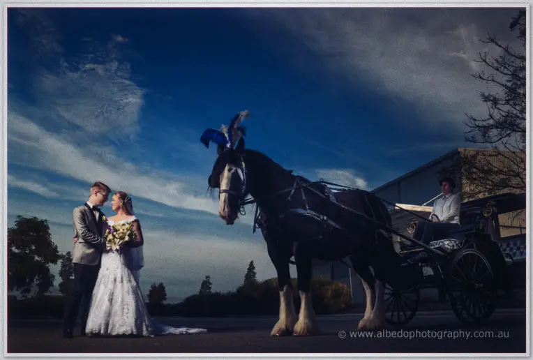 Willow Pond Wedding