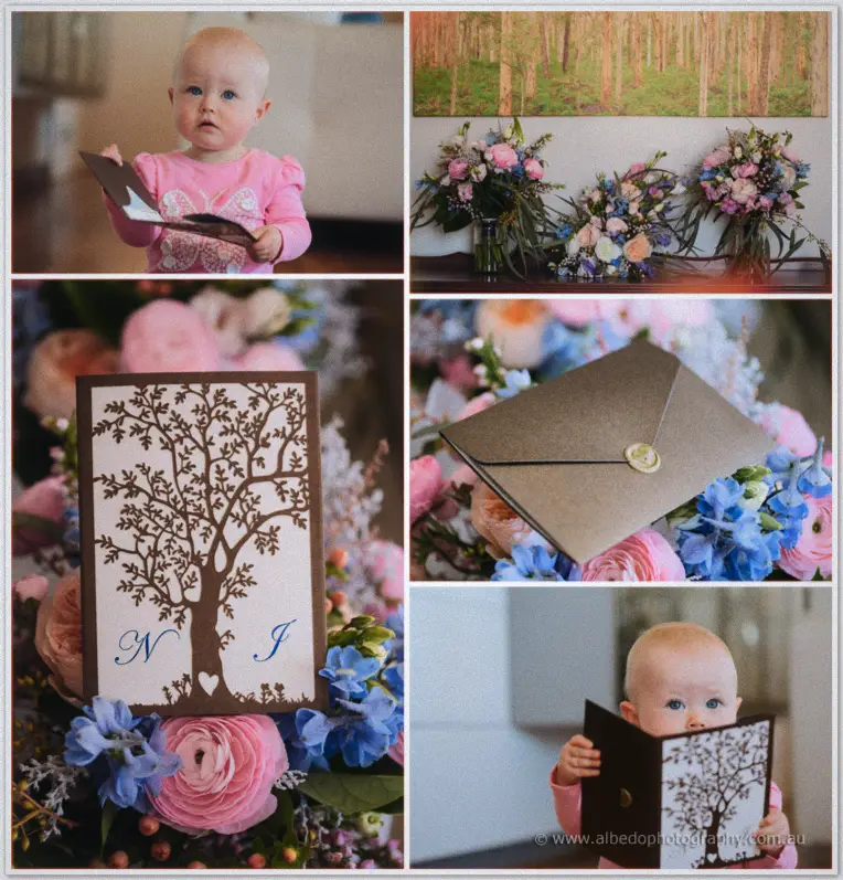 Neil McDougal Park Como Wedding Photographer