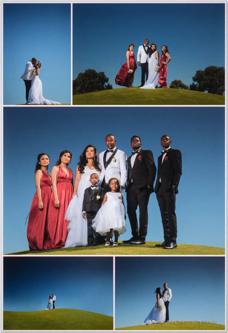 Vines Resort Wedding Photographer Garden Pavilion