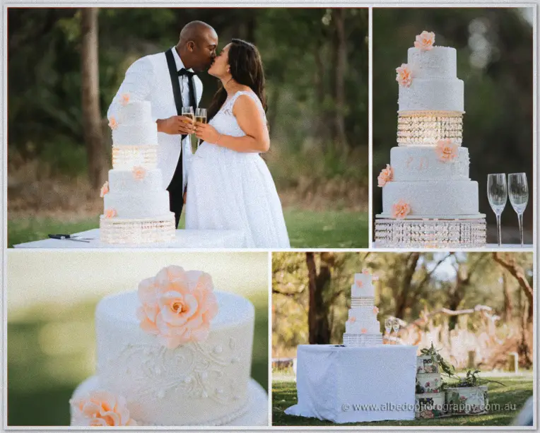 Vines Resort Wedding Photographer