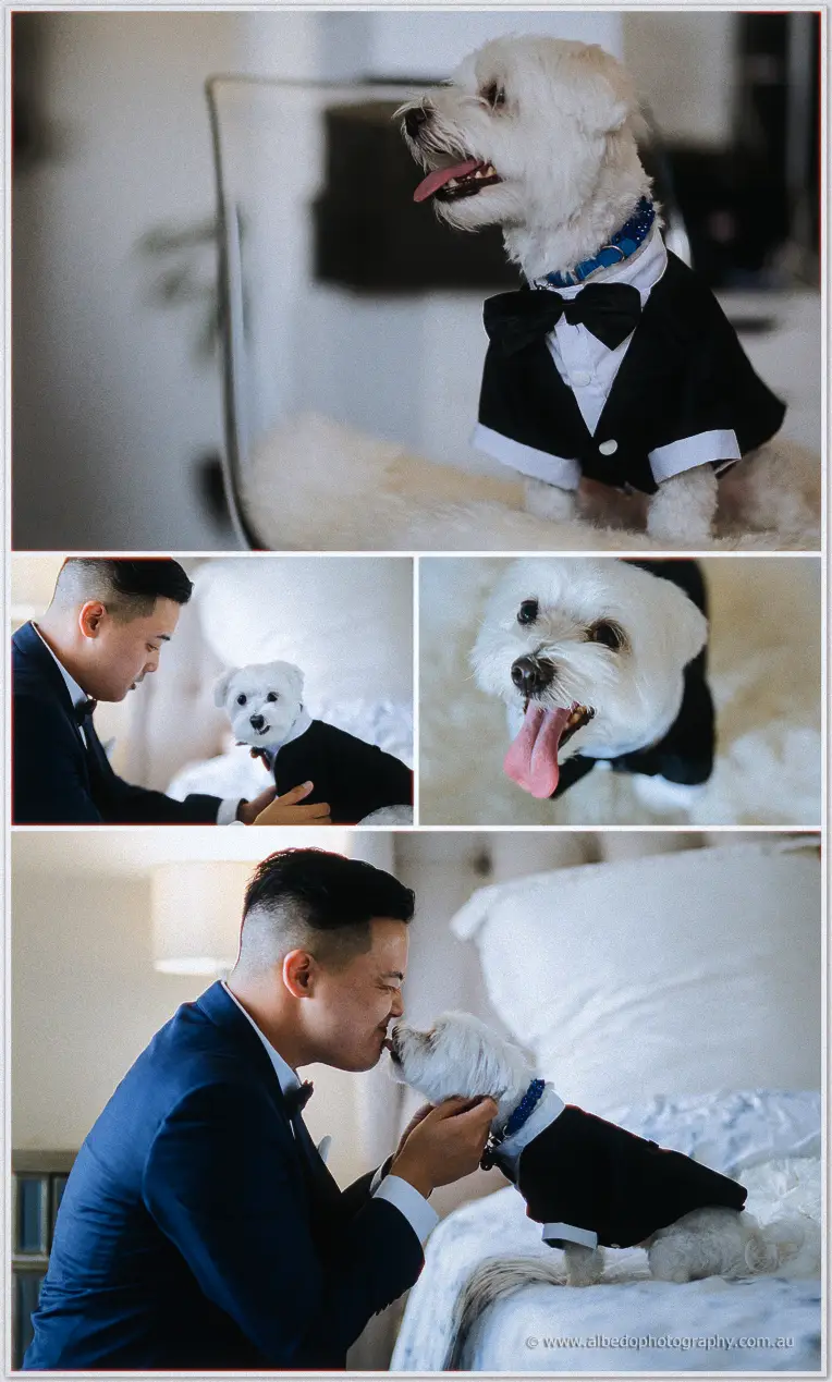 St Michaels Wedding Photographer