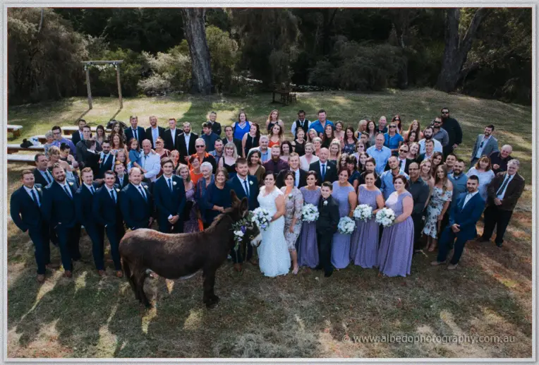 Group Photo Wedding Photographer