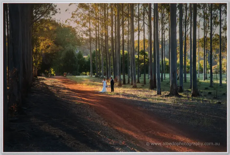 Manjimup Wedding Photographer