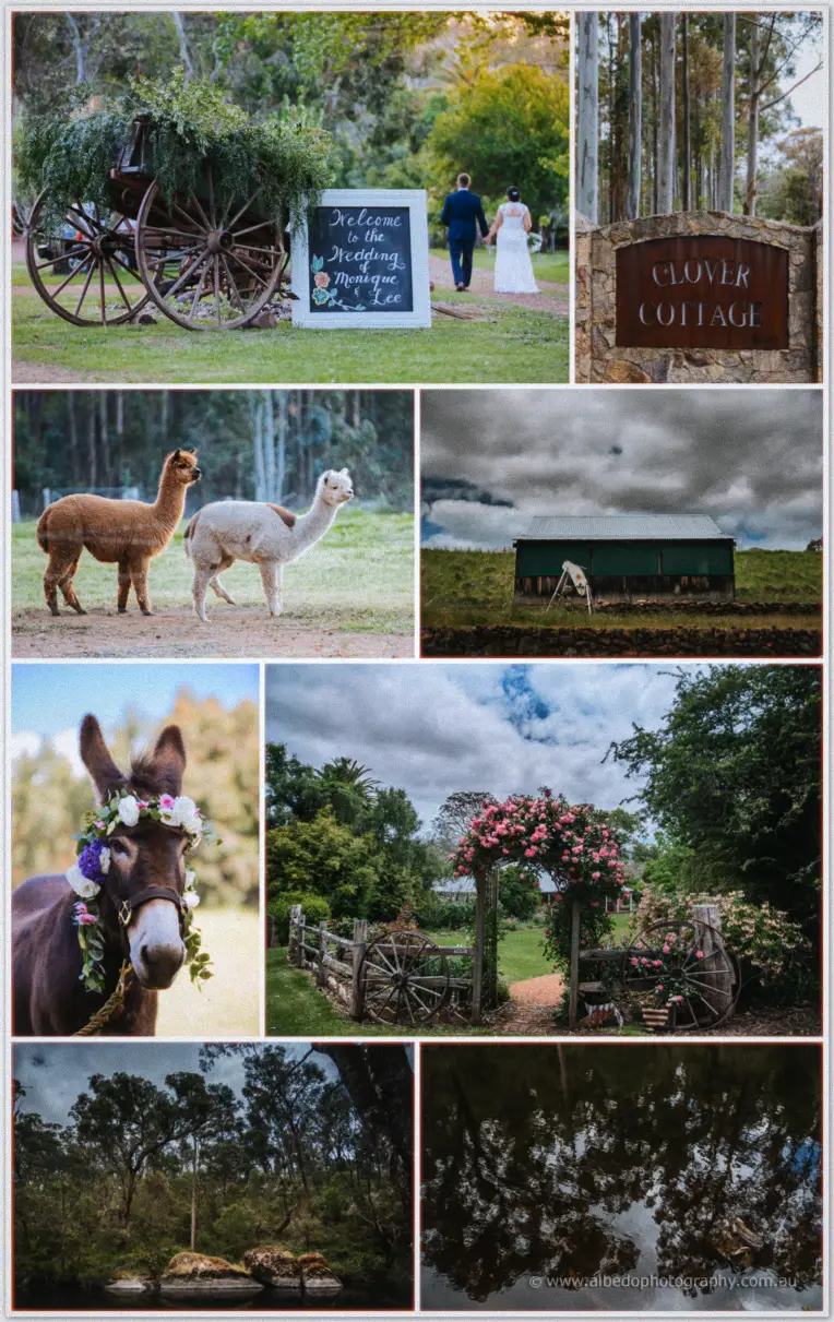 Clover Cottage Wedding Photos