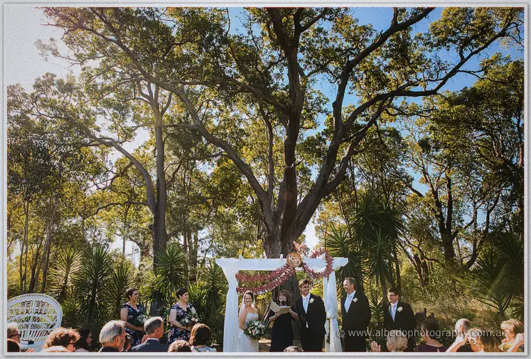 Rothwood ceremony Wedding Photographer