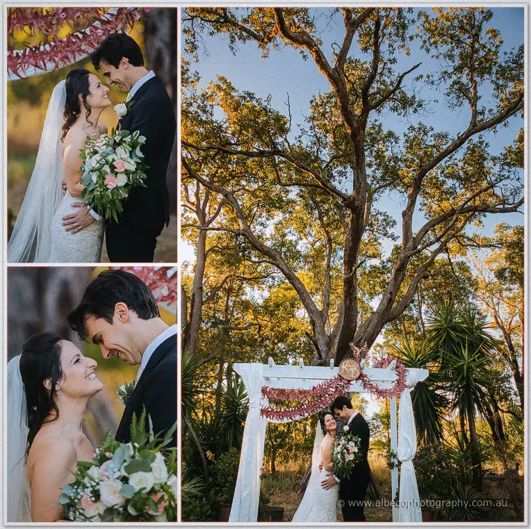 Rothwood giant tree wedding ceremony