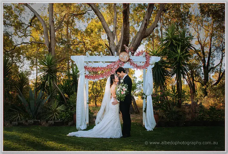 Rothwood bride and groom ceremony under tree