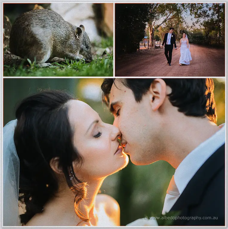 bride and groom wedding photos kiss