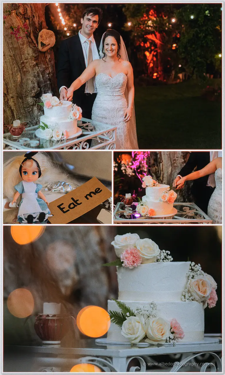 Rothwood cake cutting Wedding Photographer
