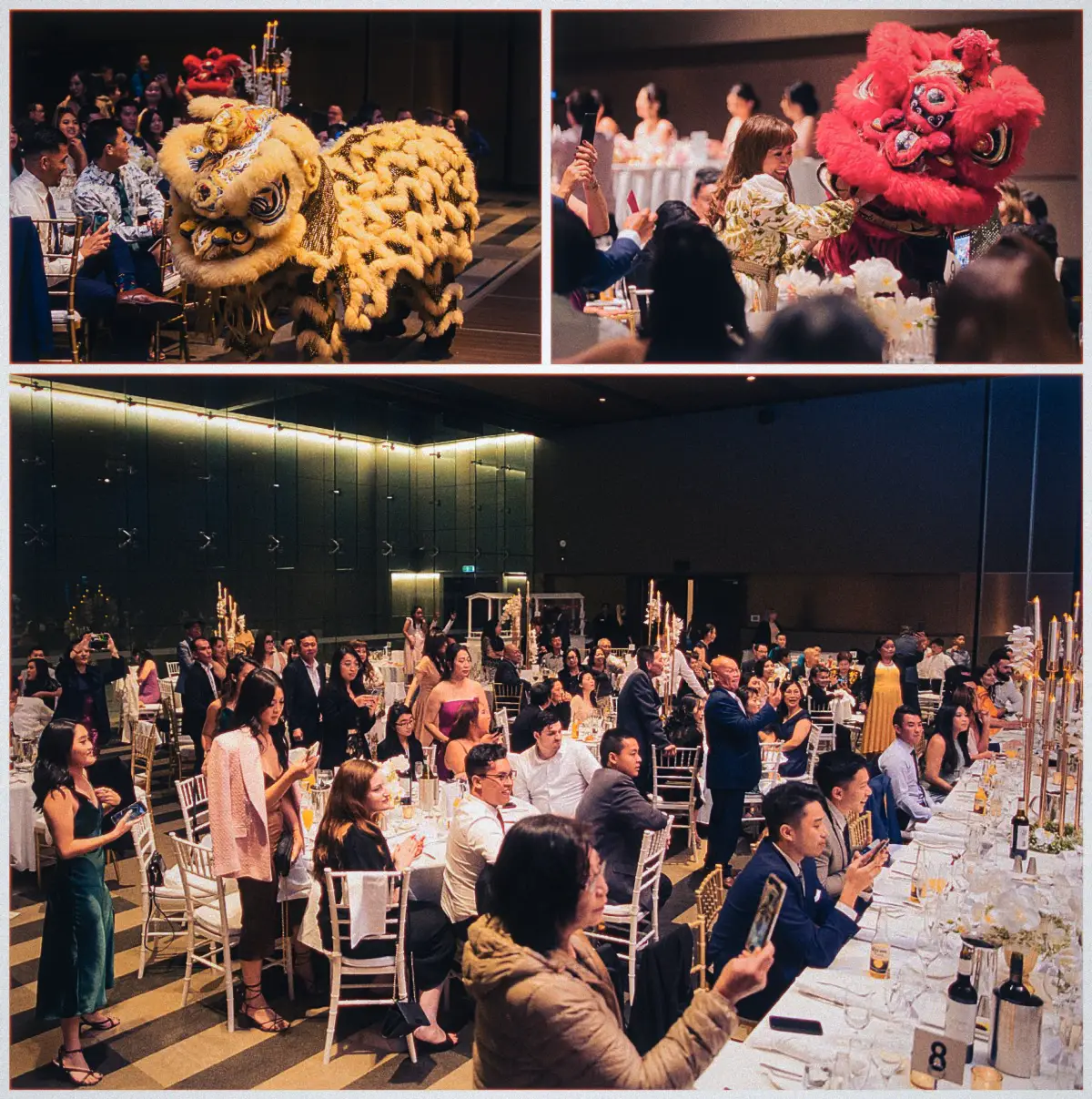 Gold and red lions weave between banquet tables as guests rise filming the lion dance on their phones